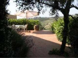 Agriturismo Bio Fattoria Bacio Certaldo Ngoại thất bức ảnh